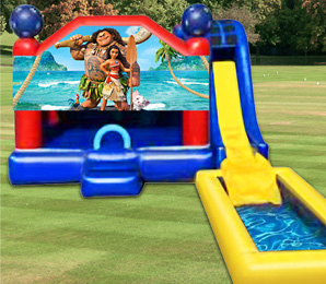 Giant Themed Combo Rentals